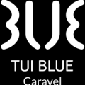 tui-blue-caravel